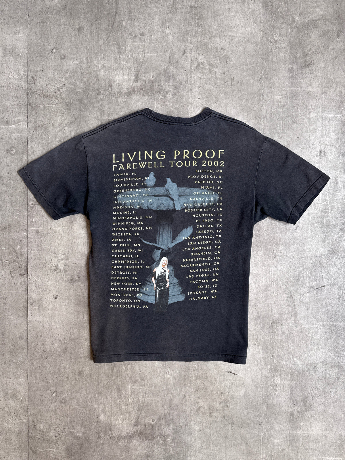 2002 Cher 'Living Proof' NA Tour Faded Black Graphic Tee