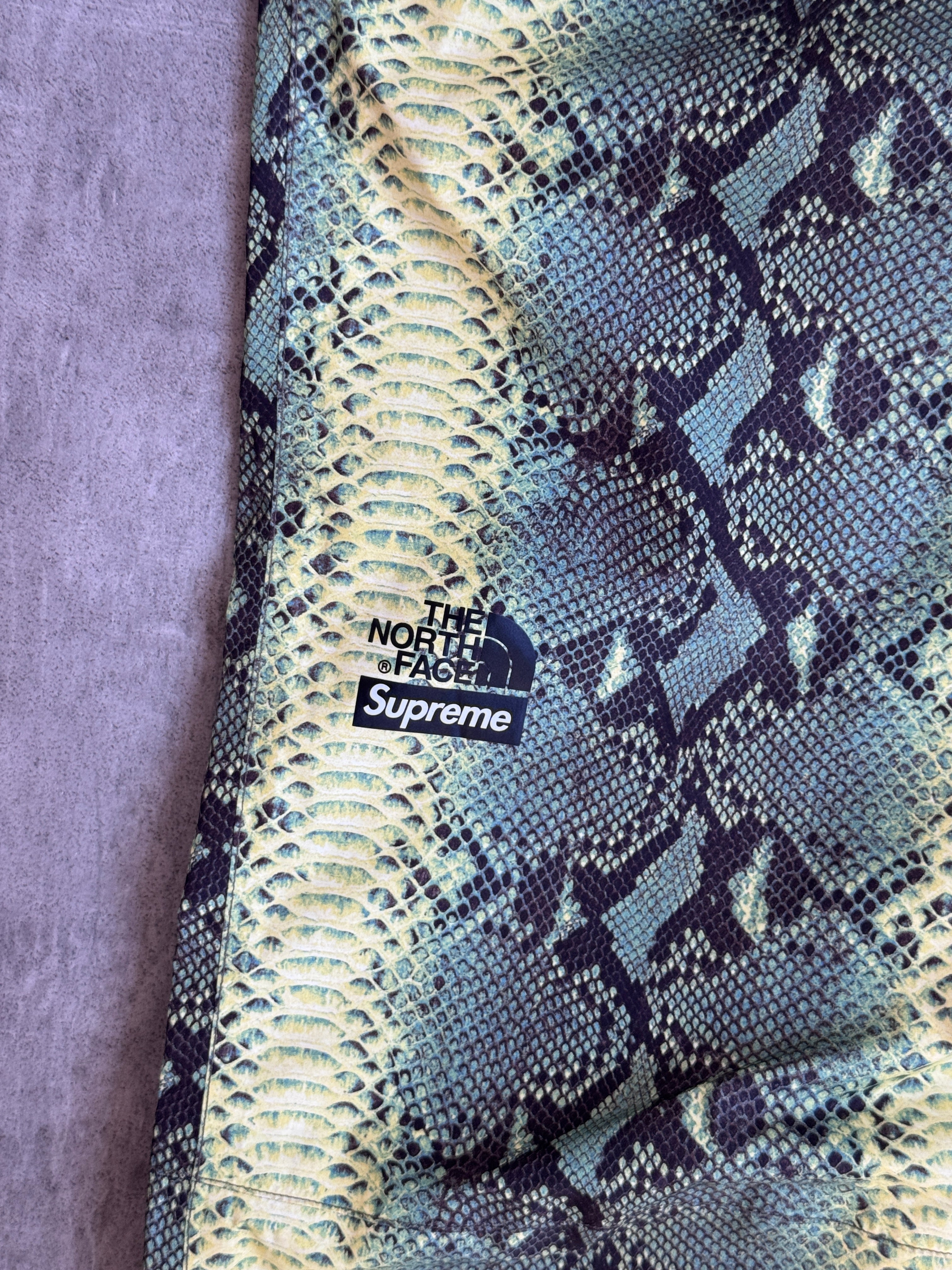 S/S 2018 Supreme X North Face Taped Seam Snakeskin Tech Trousers