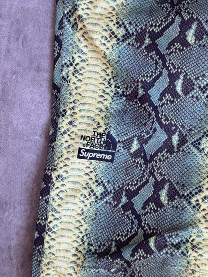 S/S 2018 Supreme X North Face Taped Seam Snakeskin Tech Trousers