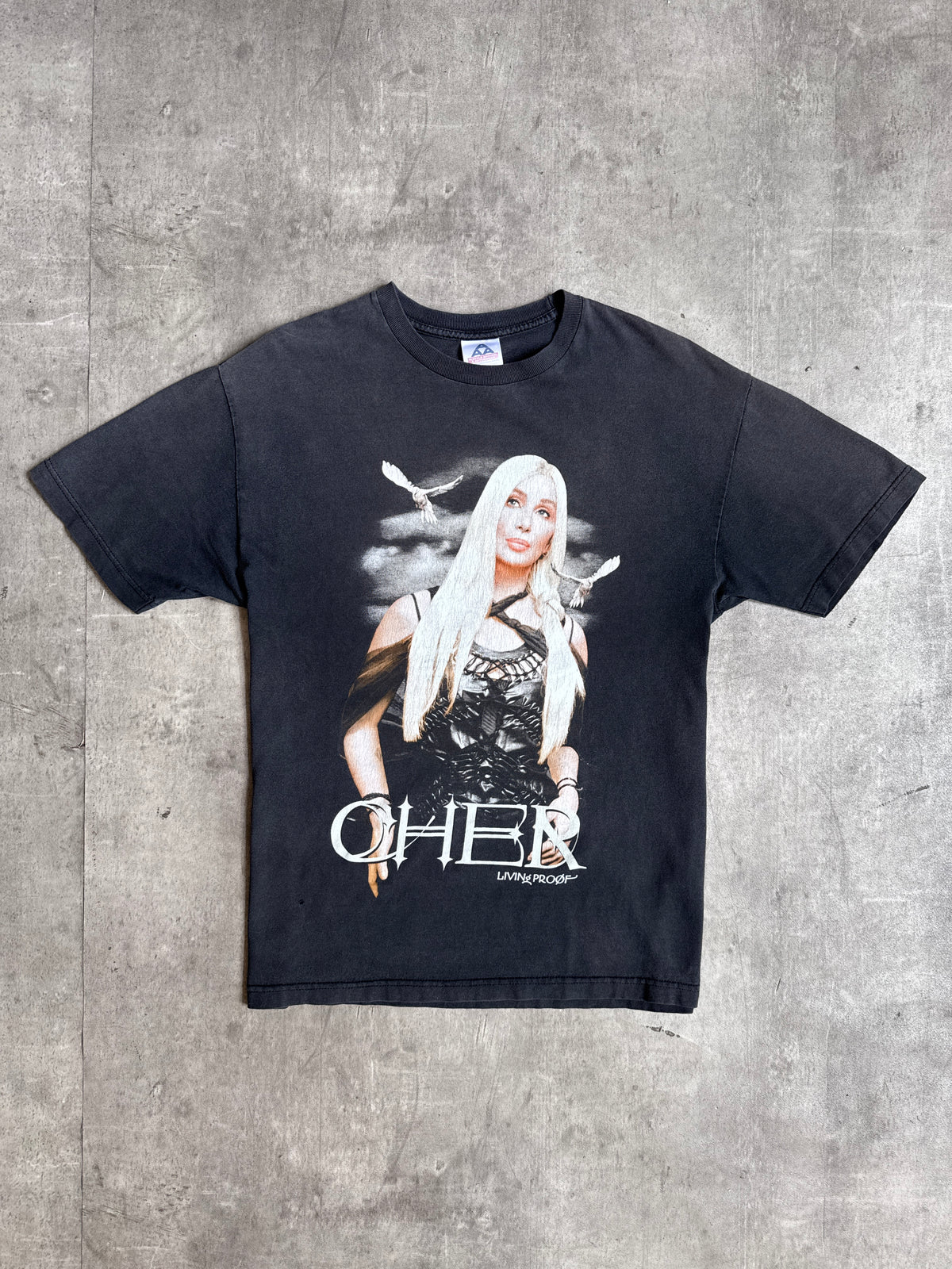 2002 Cher 'Living Proof' NA Tour Faded Black Graphic Tee