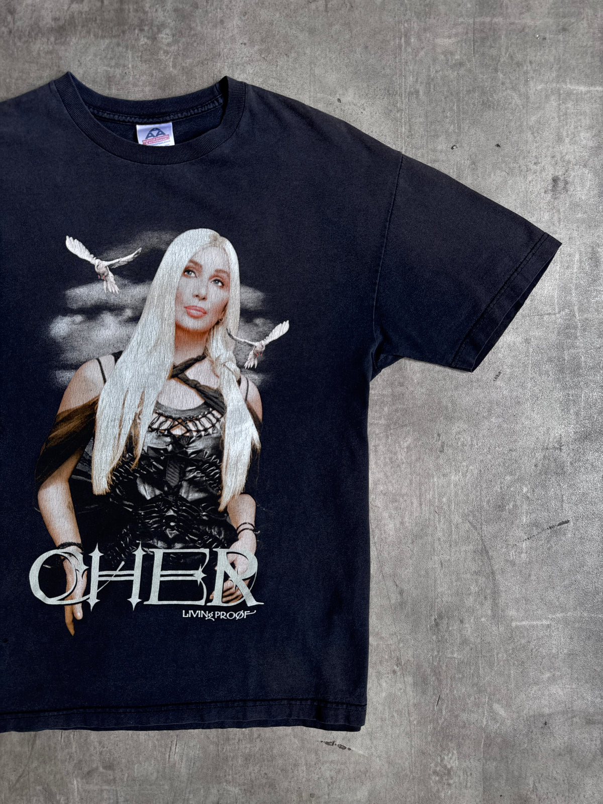 2002 Cher 'Living Proof' NA Tour Faded Black Graphic Tee
