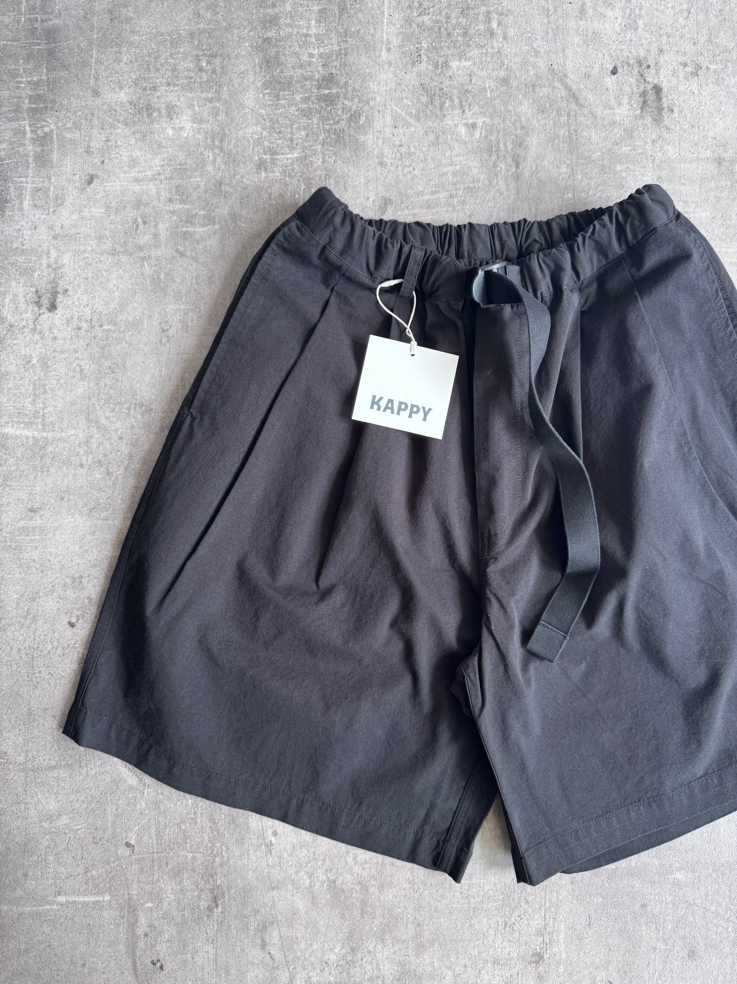 Kappy Korea Two Tuck Pleated Wide Half Pants - Black