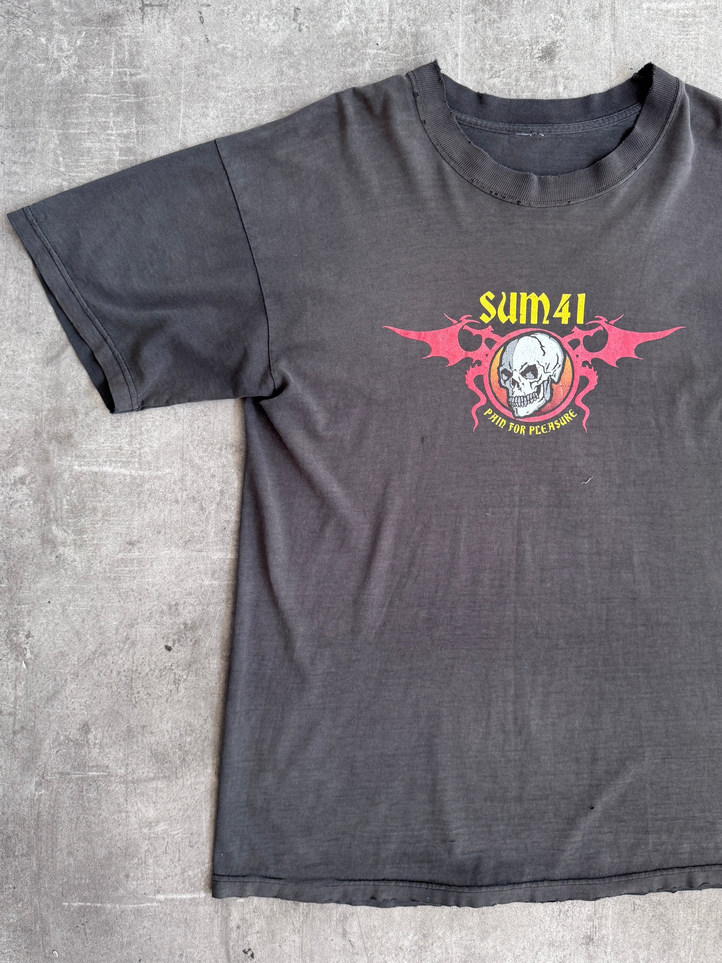 2000s Sum 41 Pain For Pleasure Thrashed Tour Promo Graphic Tee